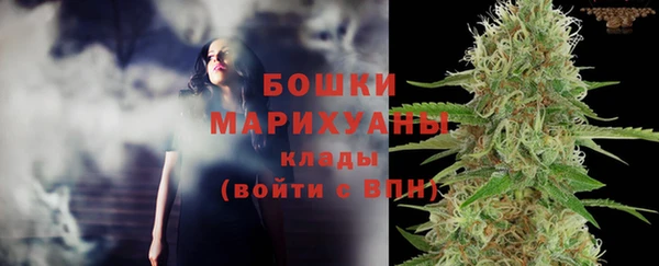 сатива Краснотурьинск