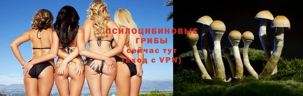 дурь Красноперекопск