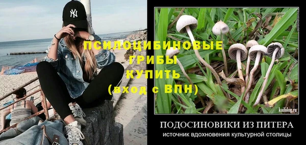 спайс Семёнов