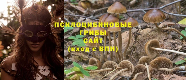 кокаин перу Корсаков